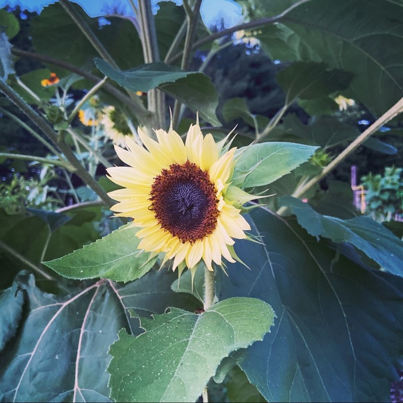 Meet your Posher, Eduardo - Picture 2 of 2